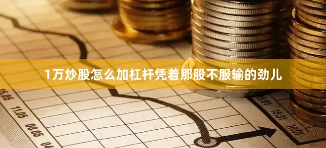 1万炒股怎么加杠杆凭着那股不服输的劲儿