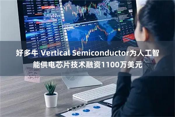 好多牛 Vertical Semiconductor为人工智能供电芯片技术融资1100万美元