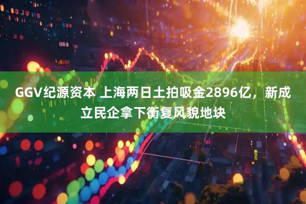 GGV纪源资本 上海两日土拍吸金2896亿,新成立民企拿下衡复风貌地块