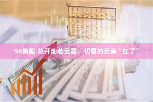 98策略 花开灿若云霞，初夏的云南“红了”